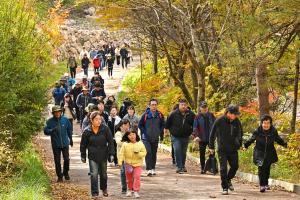 정선군, 2024 항골 숨바우길 트레킹 대회