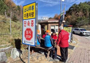 정선군, 소나무재선충병 확산 방지 ‘강력 단속 돌입’